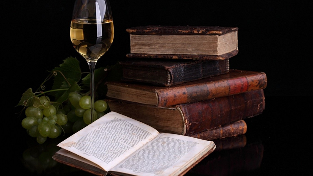 Права человека 1995 (книга)