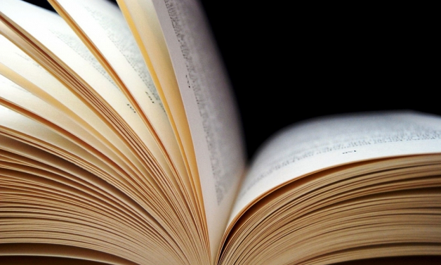 Новицкий И.Б. 2002 &ndash; Римское право (книга)