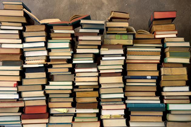 Ронин Р. 1998 &ndash; Своя разведка (книга)