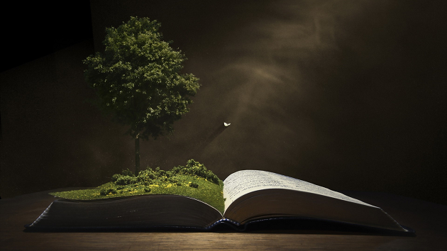 Копєйчиков В.В., Лисенков Л.С. 2002 &ndash; Теорія держави і права (книга)