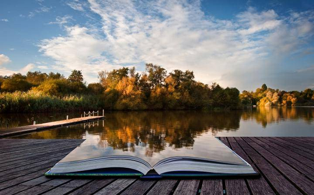 Д.Н. Козак, Е.Б. Мизулина Комментарий к Уголовно-процессуальному кодексу Российской Федерации 2004 (книга)