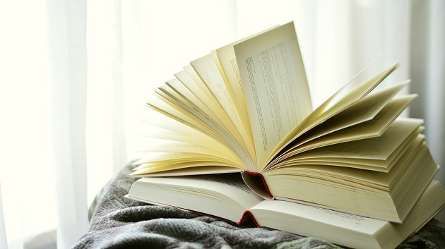 Белкин Р. С Криміналистика (книга)