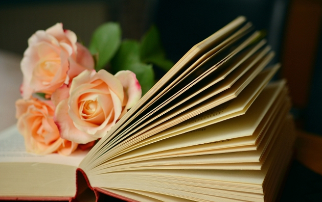 Правова деонтологія (книга)