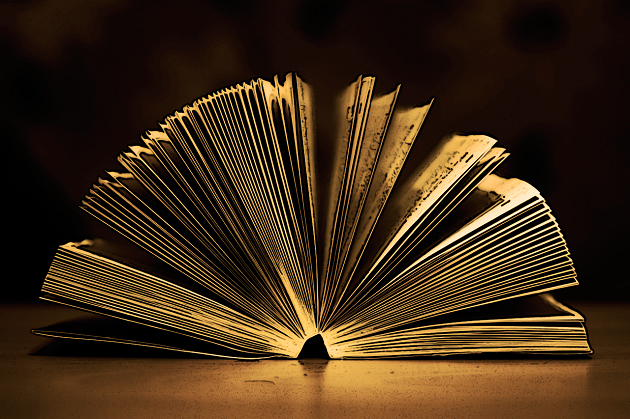 Е. А. Васильев Гражданское и торговое право капиталистических государств 1993 (книга)