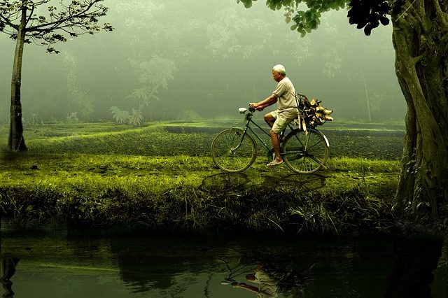 Свобода волі (реферат)