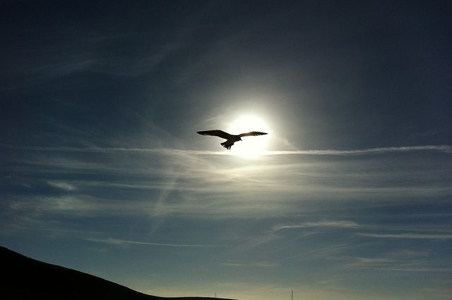 Пізнавальний підхід до освоєння світу (реферат)