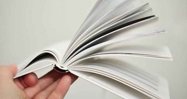 Тверді побутові відходи: джерела утворення та екологічний аспект проблеми (реферат)