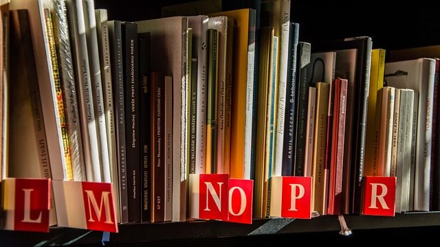 Адаптація до професійного старіння (реферат)