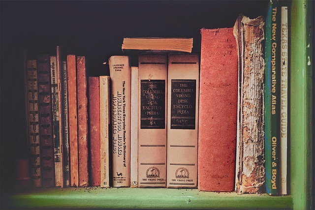 Соціальна профілактика: завдання і принципи (реферат)